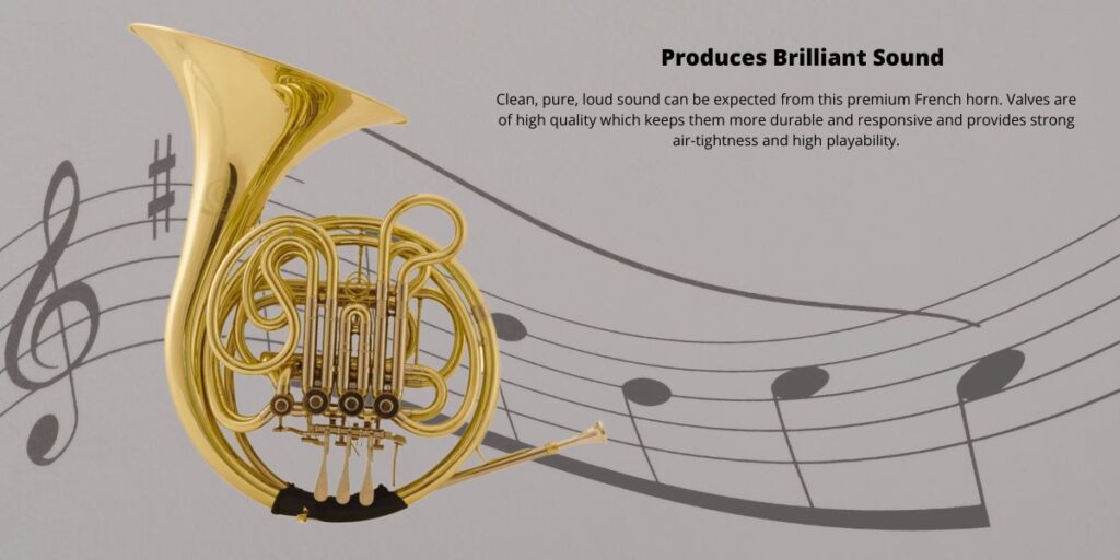 Harmonics Double French Horn 4