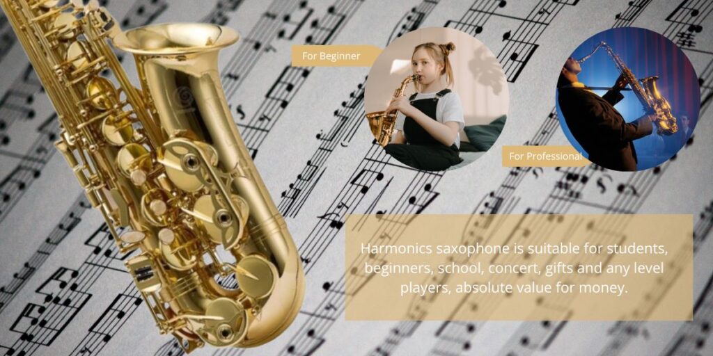 Harmonics Eb Alto Saxophone with Carrying Case 4