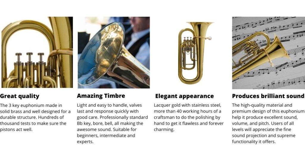 Harmonics Gold Lacquer B Flat Euphonium 2
