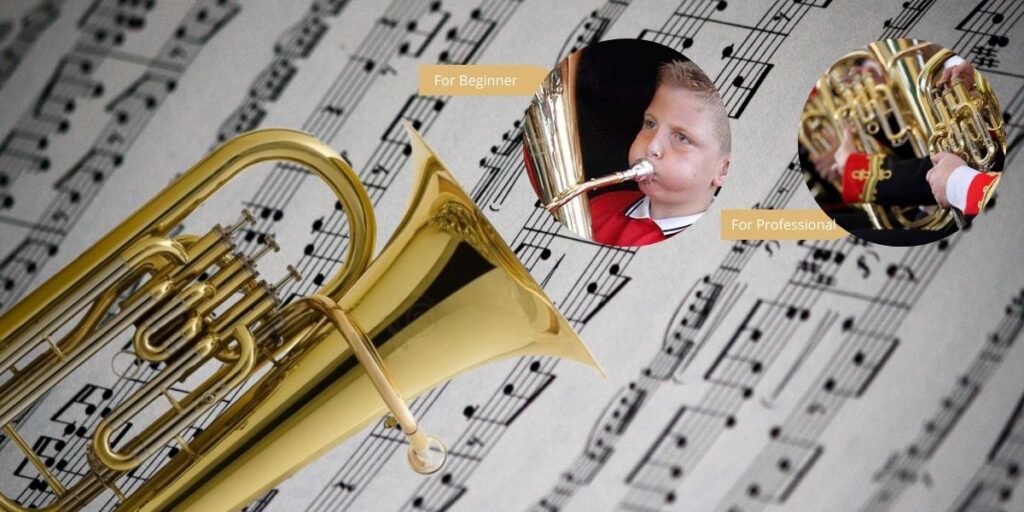 Harmonics Gold Lacquer B Flat Euphonium 4