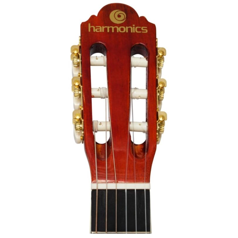 Harmonics Classical Guitar GNA 111NT head