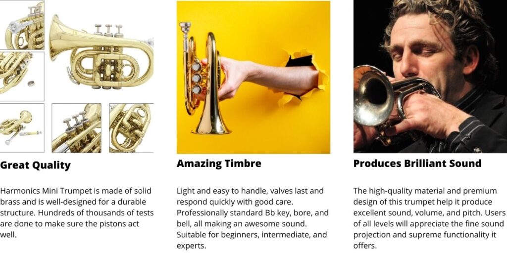 Harmonics HMT 500L Bb Mini Pocket Trumpet Gold Lacquer with Soft Carrying Case 2
