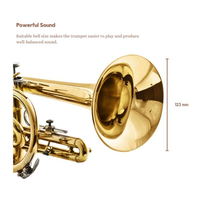Harmonics HCR 900L Cornet Bb Trumpet 6