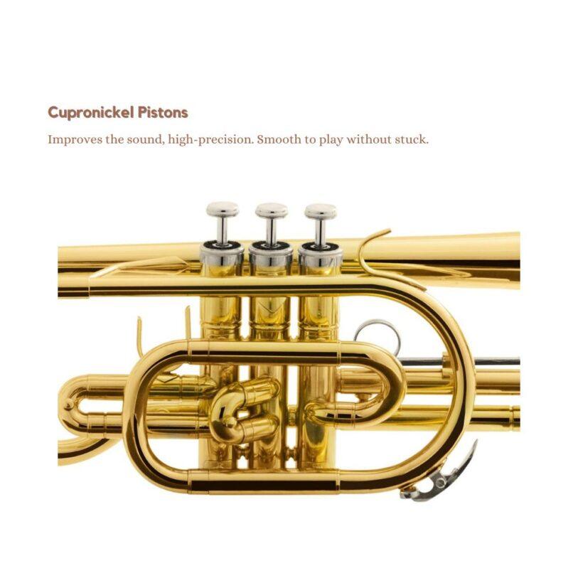Harmonics HCR 900L Cornet Bb Trumpet 7