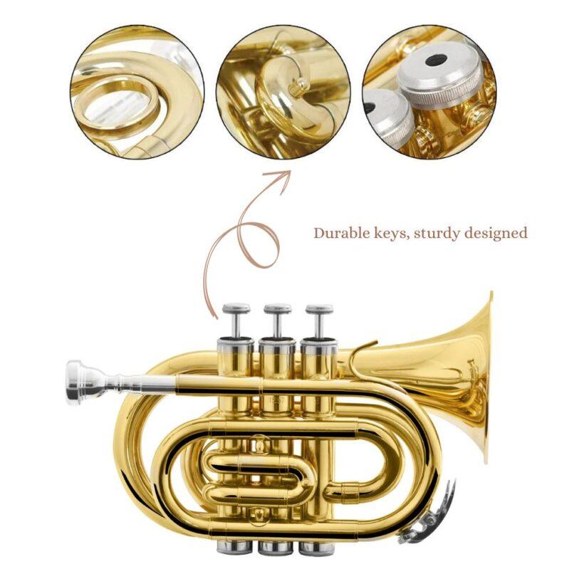 Harmonics HMT 500L Bb Mini Pocket Trumpet 2